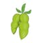 soy.finance logo